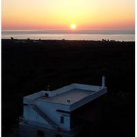 Casa mare e ulivi