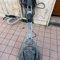 Monospazzola raimondi