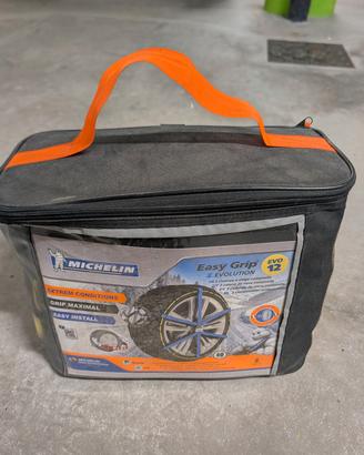 Michelin Easy Grip Evolution EVO 12 