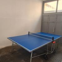 Tavolo da ping pong
