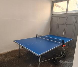 Tavolo da ping pong
