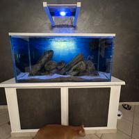 Acquario 125X60X60