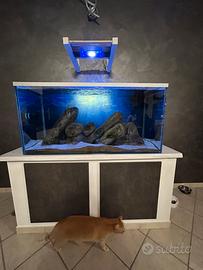 Acquario 125X60X60