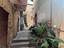 Immagine 29