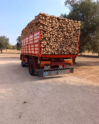 legna da ardere (DI ULIVO SECCA E STAGIONATA)
