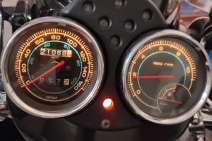 Cruiser 300