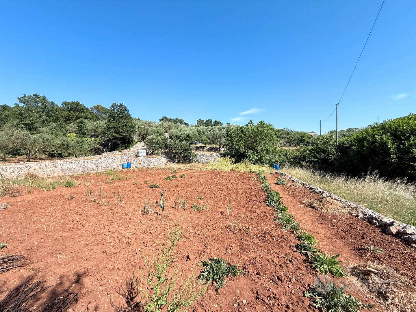 Terreno agricolo - Vista 6
