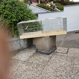 Accessori per canarini 