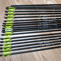 Frecce Carbone Express 