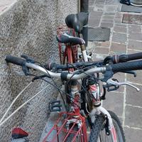 bici buono stato