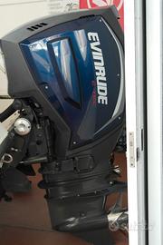 Coppia evinrude 300 g2