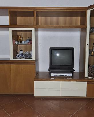 Mobile tv