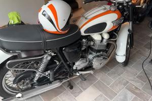 Triumph Bonneville T100 meravigliosa per amatori