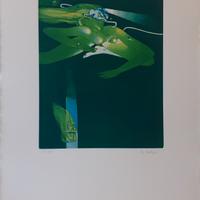 Acquatinta di G. B. DE ANDREIS