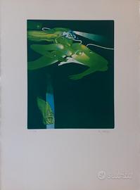 Acquatinta di G. B. DE ANDREIS