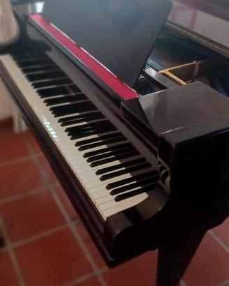 Pianoforte quarto di coda