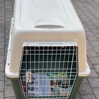 Trasportino FERPLAST ATLAS 60