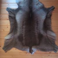 Tappeto in Pelliccia di Renna Finlandese