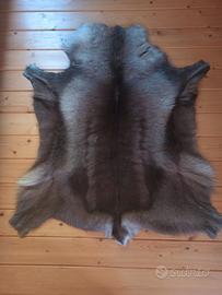 Tappeto in Pelliccia di Renna Finlandese