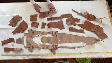 ritagli di pelle di coccodrillo 