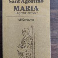 Maria "Dignitas terrae"