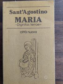 Maria "Dignitas terrae"