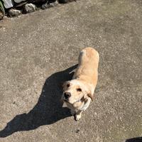 ?shelly - 1 anno e mezzo