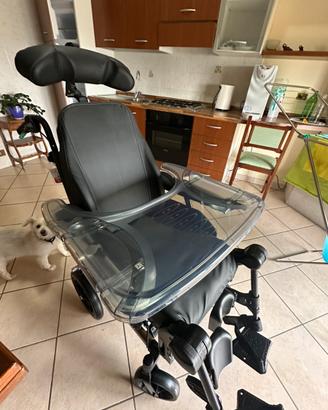 Sedia a rotelle