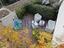 Immagine 19