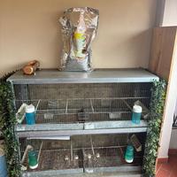 2 gabbie per uccelli