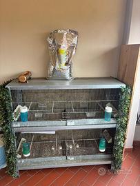 2 gabbie per uccelli