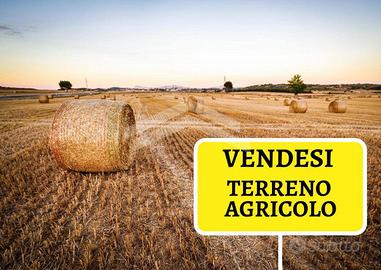 Terreno Agricolo - Campobasso
