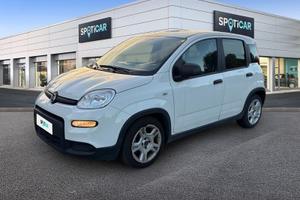 FIAT Panda 1.0 FireFly 70cv S&S Hybrid