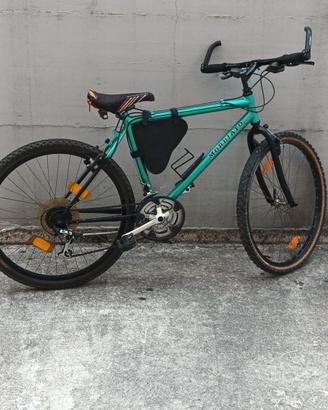 Mountain bike