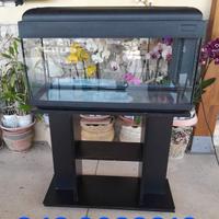 acquario  con mobile 