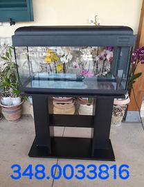 acquario  con mobile 