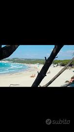Dal 15 agosto attico sl mare a gallipoli rivabella