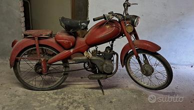 Motom 48 - 12L - 1959