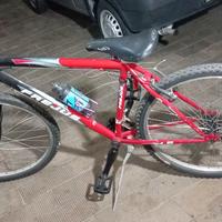 Bicicletta Frejus
