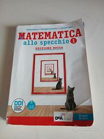 Matematica allo specchio vol.1 edi.Rossa