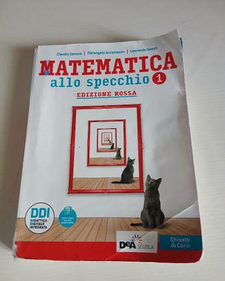 Matematica allo specchio vol.1 edi.Rossa