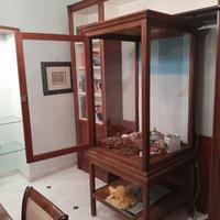 vetrinetta  espositiva