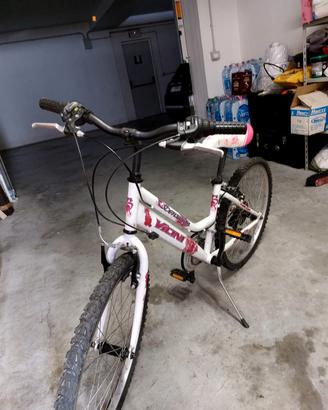 bicicletta