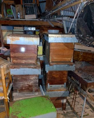 10 arnie da 8 telaini