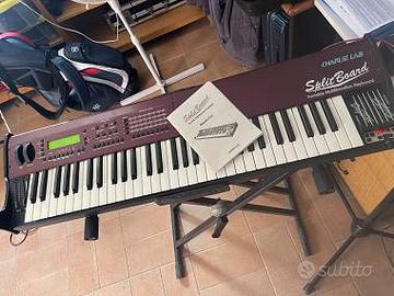 SPLIT BOARD CHARLIE LAB