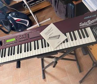 SPLIT BOARD CHARLIE LAB