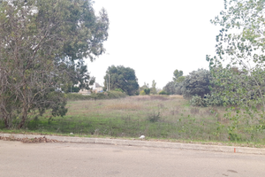 Terreno edificabile con progetto approvato