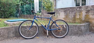 mountain bike in buone condizioni