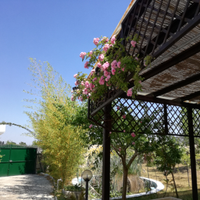 La Casina del Salento