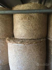 Fieno biologico certificato in rotoli o ballette